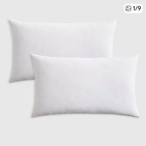 NWOT QUINCE Pack Of 2 12x20 Premium Feather Pillow Inserts